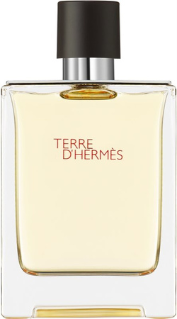 Hermes Terre d'Hermes toaletní voda pro muže 100 ml