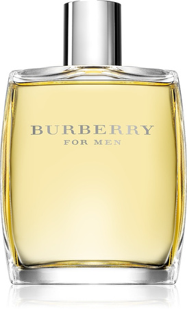 Burberry For Men toaletní voda 100 ml
