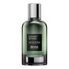 Hugo Boss Elegant Vetiver parfémovaná voda pro muže 100 ml