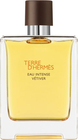 Hermes Terre D'Hermes Eau Intense Vetiver parfémovaná voda pro muže 100 ml