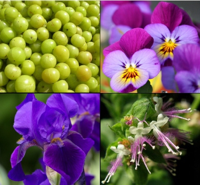 Tesori d`Oriente Ayurveda 100 ml parfémovaná voda